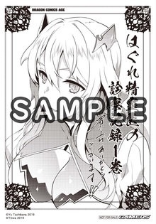 はぐれ精霊医の診察記録　～聖女騎士団と癒やしの神業～　１